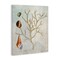 Stupell Industries Seashells and Coral Branch Canvas Design by Susan Arnot